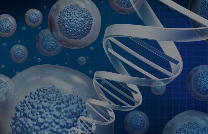 stem-cell-and-prp-injections-header-optim stem-cell-and-prp-injections-header-optim